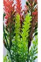 Red Green Lavender Artificial Plant in Mini Pot Red Stone 20 cm Decorative Bathroom Kitchen Table Flower - 4