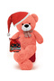 Chocolate New Year Special "Merry Christmas" 90 CM Plush Bear with Pouch and Christmas Hat and Bow Tie