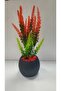 Red Green Lavender Artificial Plant in Mini Pot Red Stone 20 cm Decorative Bathroom Kitchen Table Flower - 5