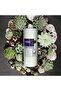 Point Transparent Flower Glue, 1 kg Hobby Adhesive Pva Polymer Glue