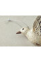 Humming Birds Plastic Christmas Tree Ornament Brown - 3