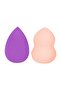 Makeup Sponge 2 Pack-1SB22-
