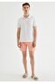 Men's Pink Regular Fit Swim Shorts - 2