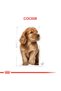Cocker Yavru Köpek Maması 3kg - 2
