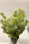 Artificial Flower Pine Tree in Black Plastic Pot - 2