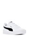 Carina Snake 37352601 - 2