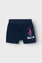 Boxer Blau - 2
