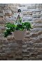 Basket Multi-Purpose Decorative Basket 15x15 Cm - 3