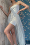 Tulle Skirt With Pearls For Special Occasions Accessory Dress Decor Costume Accessory Transparent Tulle Skirt With Pearls - 2