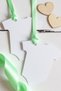 Baby Boy Blank Gift Tag - 2