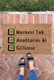 Maskeni Plug Indoor and Outdoor Decorative Multi-Purpose Door Mat