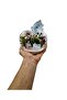 Newborn Baby Boy Gift Terrarium Special Production Apple Glass Jar - 4