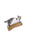 Cat Toy Hugging Pillow Sleep Toy with Cat Herb 30 Cm Plush (1 Piece) Brown - 4