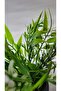 Grass Green Artificial Plant Garnish Stone Moss 17 Cm Decorative Bathroom Kitchen Table Flower in Mini Pot - 2