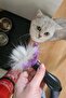 Short Hairy Cat Comb 4.5 Kg Over Hair Collecting Cleansing Comb Small Size - 4