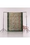 Green Beige Themed Flower Rose Patterned Creative Modern Decorative Carpet 2973 - 5