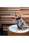 Cat Dog Special Series Plush Cardigan Jacket (Snap)