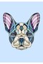 French Bulldog Car/Motorcycle/Helmet/Laptop/Glass Sticker - 12X12 cm