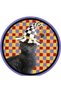 Mira 1173 Cat and Checkers Themed Colorful Woven Base Carpet