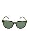 BURLINGTON WOMEN'S BONE POLARIZED SUNGLASSES Y1604 C32 - 2