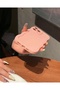 IPHONE 14 PROMAX POWDER COLOR FLAT CASE - 4