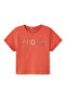 T-Shirt Rot