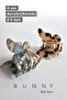 4 CM BUTTERFLY ACRYLIC LATCH Buckle (BONE) SET OF 2 (DARK COLOR) - 3