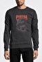 Pantera Snake Band Metal Rock Music Printed Smoked Anthracite Men's Knitted Sweatshirt Long Sleeve