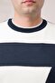 Regular Fit Crew Neck Patterned Woolen Men's Sweater - 6
