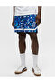 Venice Beach League Short Clyde Royal