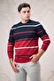 Slimfit Crew Neck Striped Cotton Men's Sports Sweater - 3