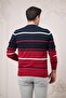 Slimfit Crew Neck Striped Cotton Men's Sports Sweater - 5