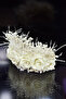 Glass Beaded White Rose Feather Princess Bridal Henna Crown - 3