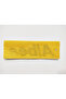 Fiat Albea Arma Luggage Lettering Gluing 13cmx3.3cm 2156 - 2