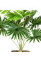 Potted Artificial Plant Fan Palm Bunch Real Textured 9 Leaves Green 48 Cm. - 2