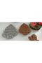 CUSTOM PINE TREE COOKIE MOLD (2 PIECES) - 4