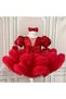 Red Beaded Girl's Birthday 6 Month Henna Special Occasion Dress