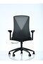 Goldsit Orfe 100pa - 4