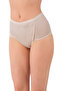 491 - 5 Pieces Cotton, Lycra, Lifting, Belly Concealing, Bato High Waist Panties
