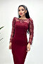 Double Fabric Fringed Sequin Dress - Burgundy