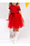 Fluffy Tulle Flexible Lycra Heart Printed Princess Tutu Dress - 4