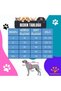 Dog Colors Hooded Fleece Sweatshirt Dog And Cat Outfit & Dress - 3
