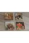 Still Life Fruits Natural Stone Coasters Set of 4 - Natural Stone Coasters