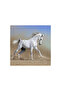 Running Horses Natural Stone Coasters Set of 4 - Natural Stone Coasters - 3