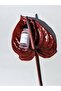 Blush Elixir| 5% Aha 5% Bha| Powerful Brightening Anti-Blemish Serum - 3