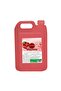 Duş Jeli Çilek 5 Litre