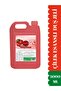 Duş Jeli Çilek 5 Litre - 2
