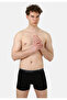Men's Basic Bright 3-pack Boxer - 2