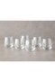 PAUL GLASS 6-PIECE GLASS 95 ML TRANSPARENT