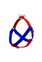 Charmed Sirius Dog Chest Collar Set - 4